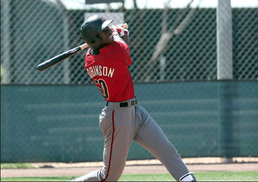 Arizona Diamondbacks 2019 Top 30 Prospects
