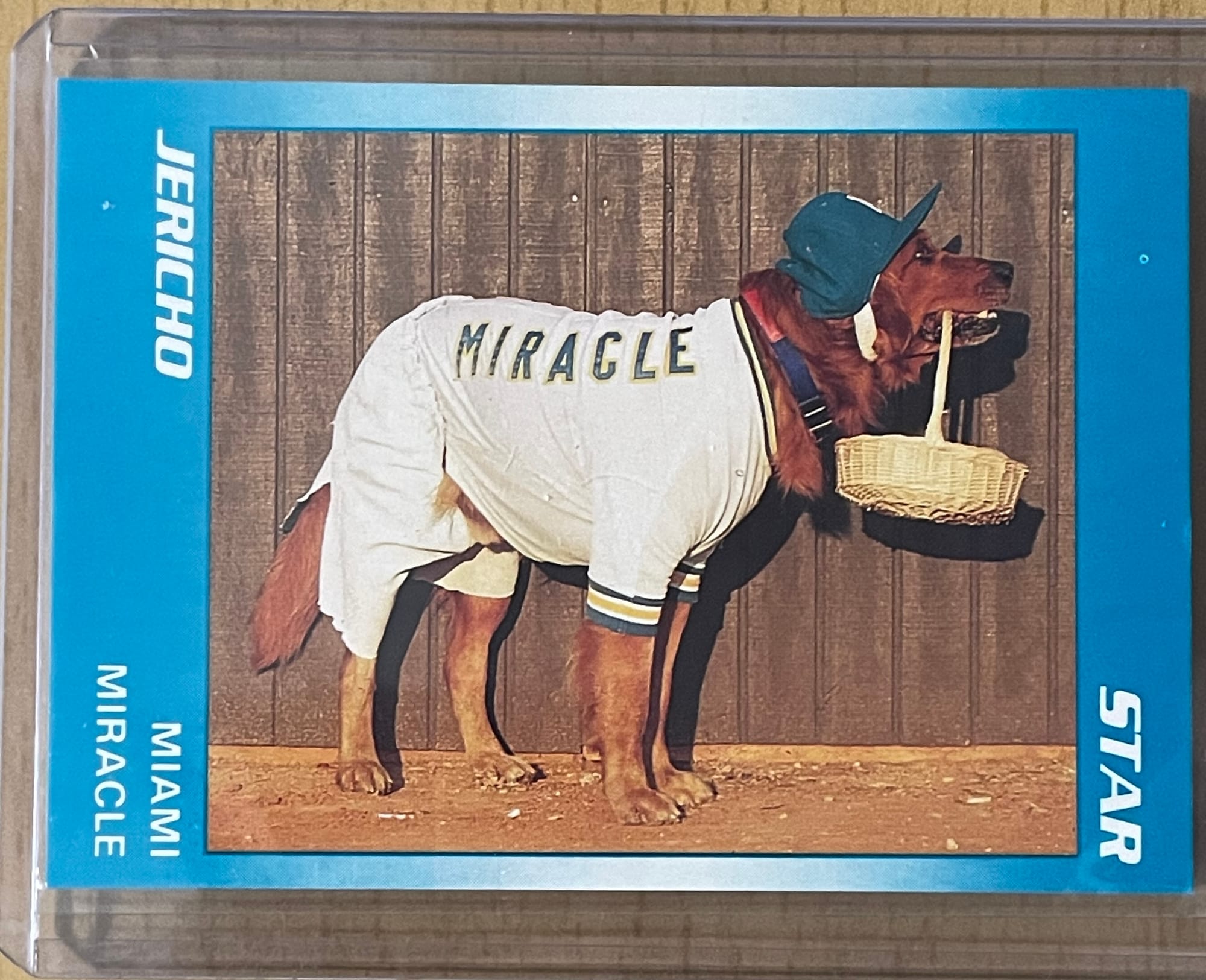 Trading Cards and Trading Stories: Baseball Dogs