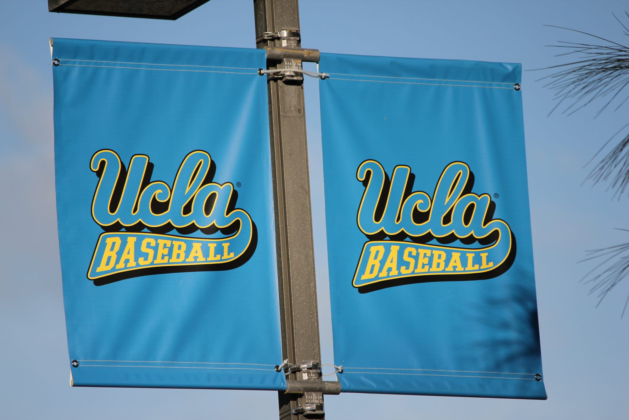 Live Looks: 2019 West Coast Draft Prospects