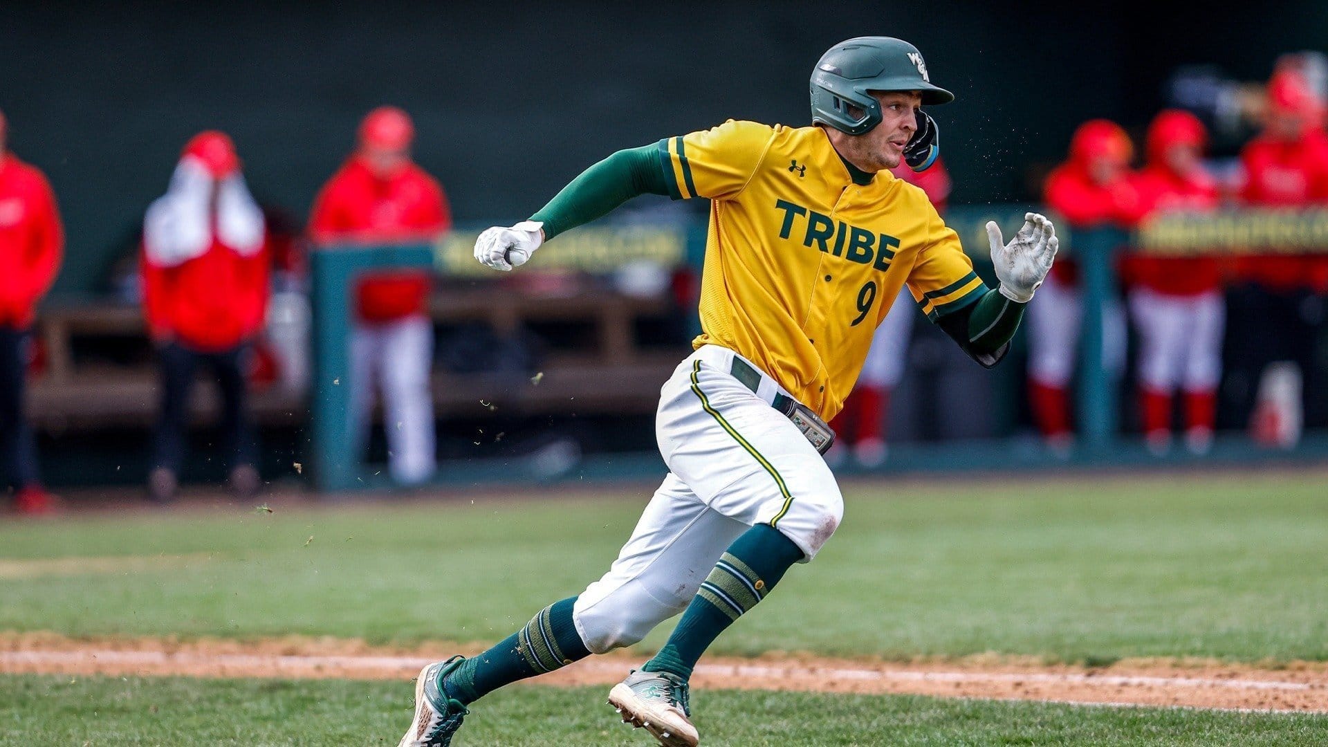 Live Looks: 2023 Cape Cod League Part 1