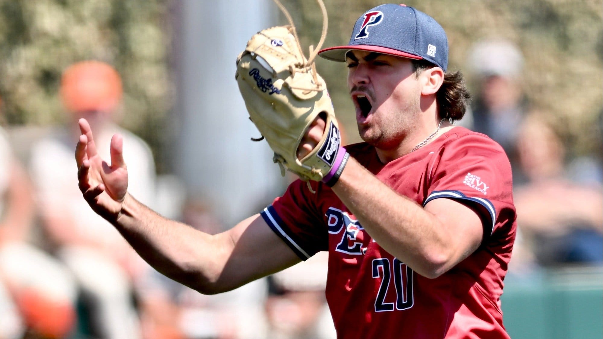 Five Northeast Data Standouts - 2/11/24